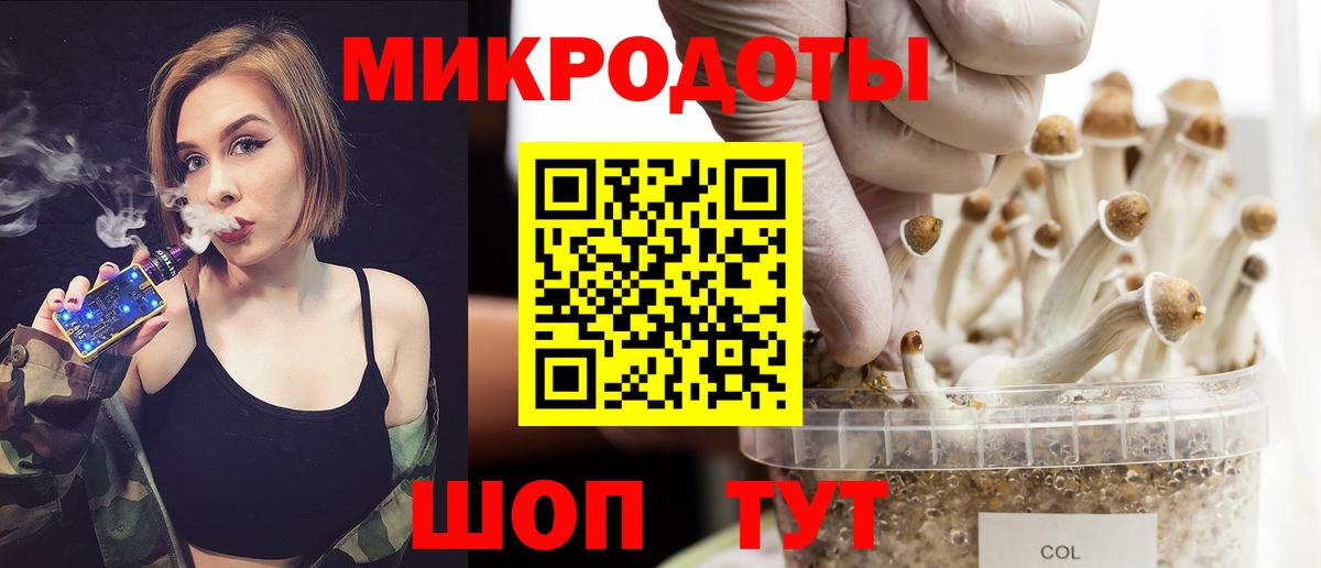 Галлюциногенные грибы Psilocybe  Вход с VPN  Псилоцибиновые грибы GOLDEN TEACHER  Каменка 