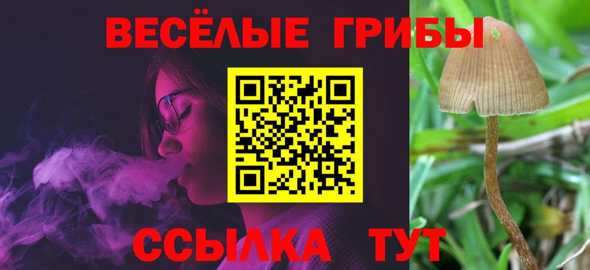 Галлюциногенные грибы Cubensis Каменка